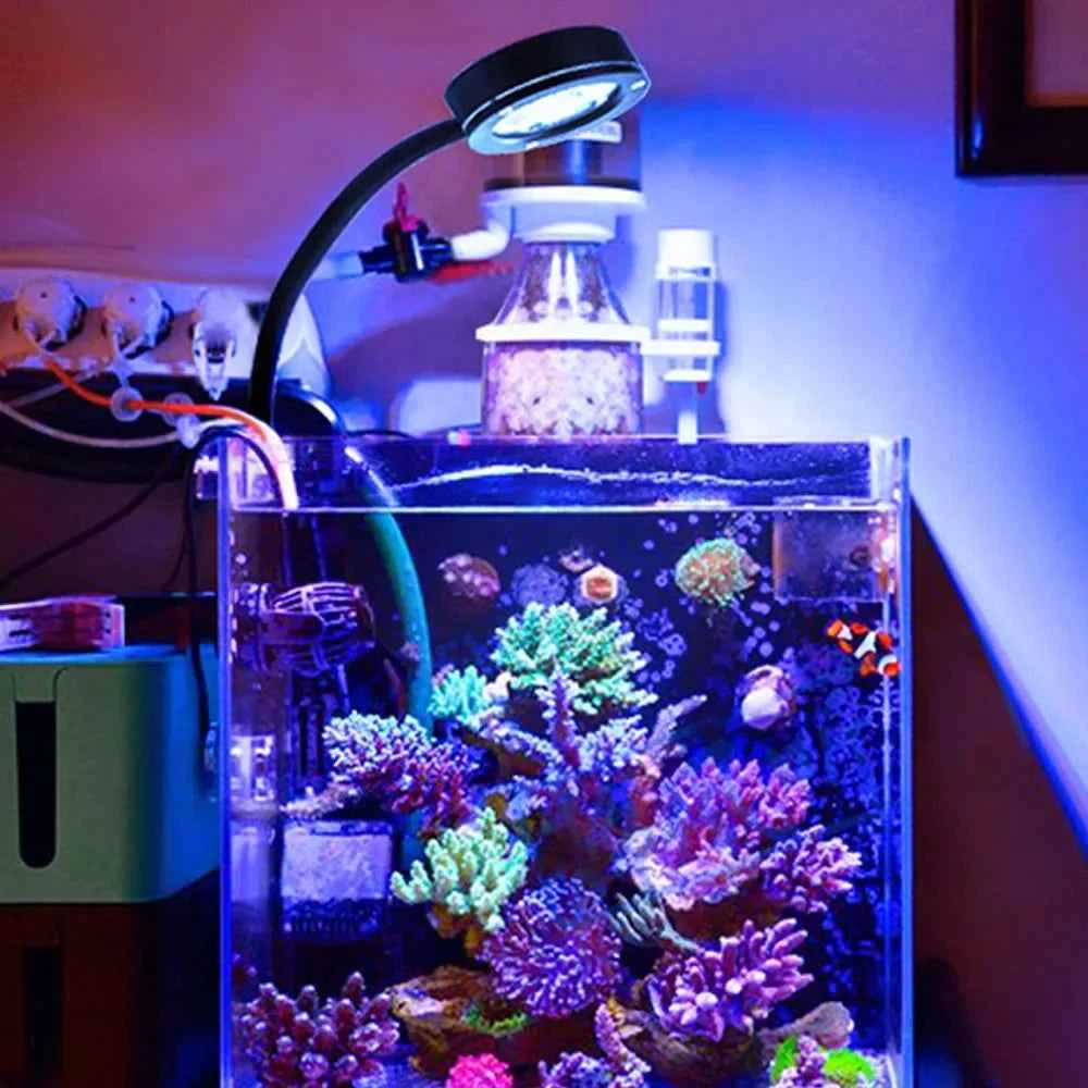 Aquarium LED light Marine coral SPS LPS Aquarium sea Reef Tank Blue White Beginner 90v-240v For 30-50 cm Seawater tank