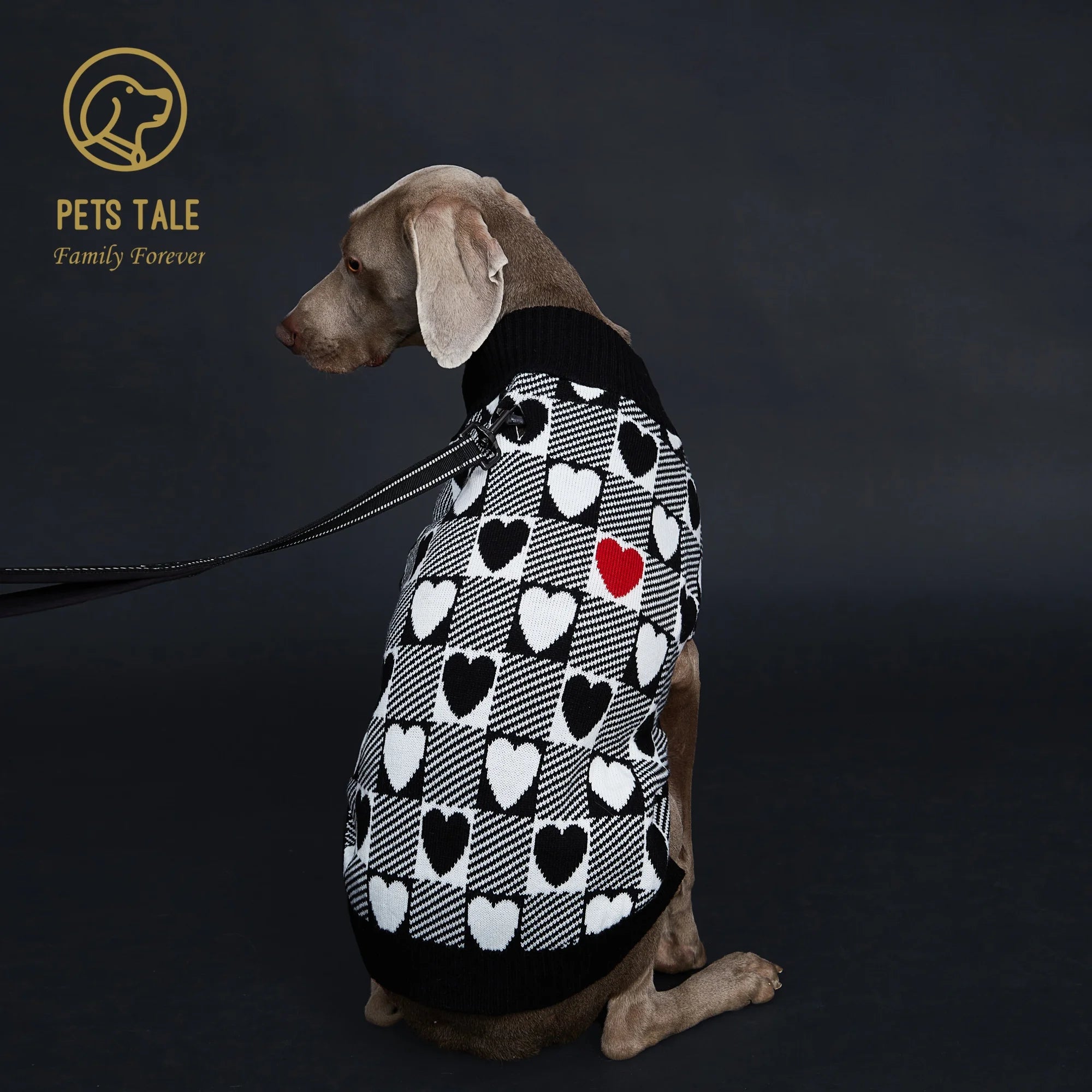 Buffalo Check Love-Heart Intarsia D-Ring Hole Dog Sweater