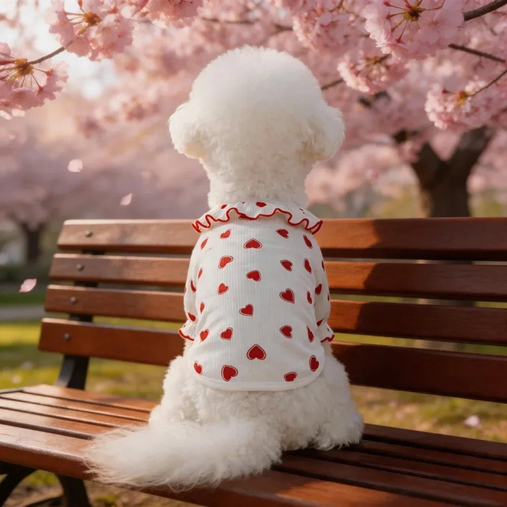 Ruffle Trim Heart Print Dog Clothes for Small Dogs, Soft Summer Puppy Shirt for Teddy Bichon, Cute Pet for Daily Walking Party