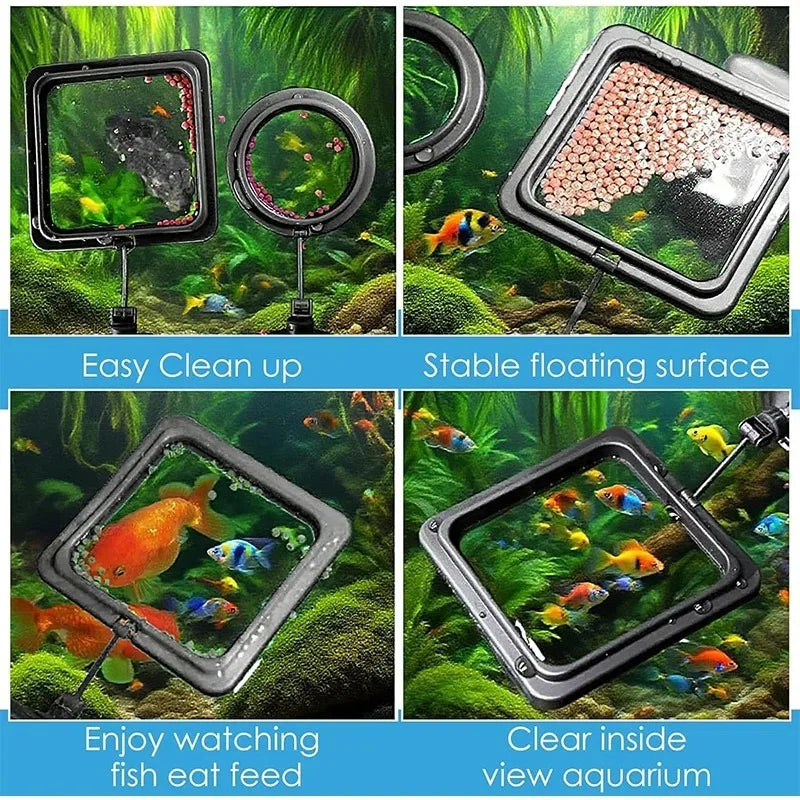 Aquarium Feeding Ring Fish Tank Station Floating Food Tray Feeder Square Circle Accessories Fish Foods Feeder With Suction Cup