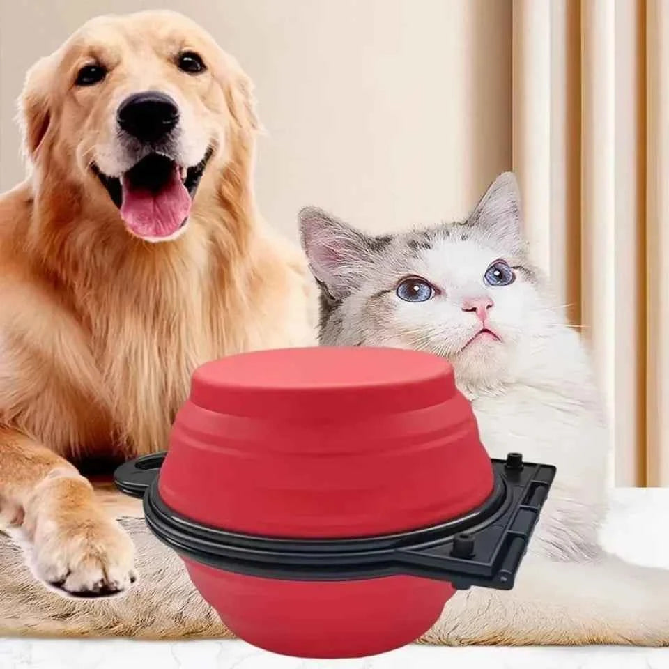 2 in 1 Collapsible Dog Travel Bowl Double Bowls Folding Food Water Bowl Portable Hangable Dog Feeder for Outdoor Dog Product