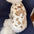Puppy Clothes Autumn Winter Cat Fashion Desinger Vest Pet Cute Cartoon Soft Shirt Small Dog Harness Chihuahua Poodle Yorkshire