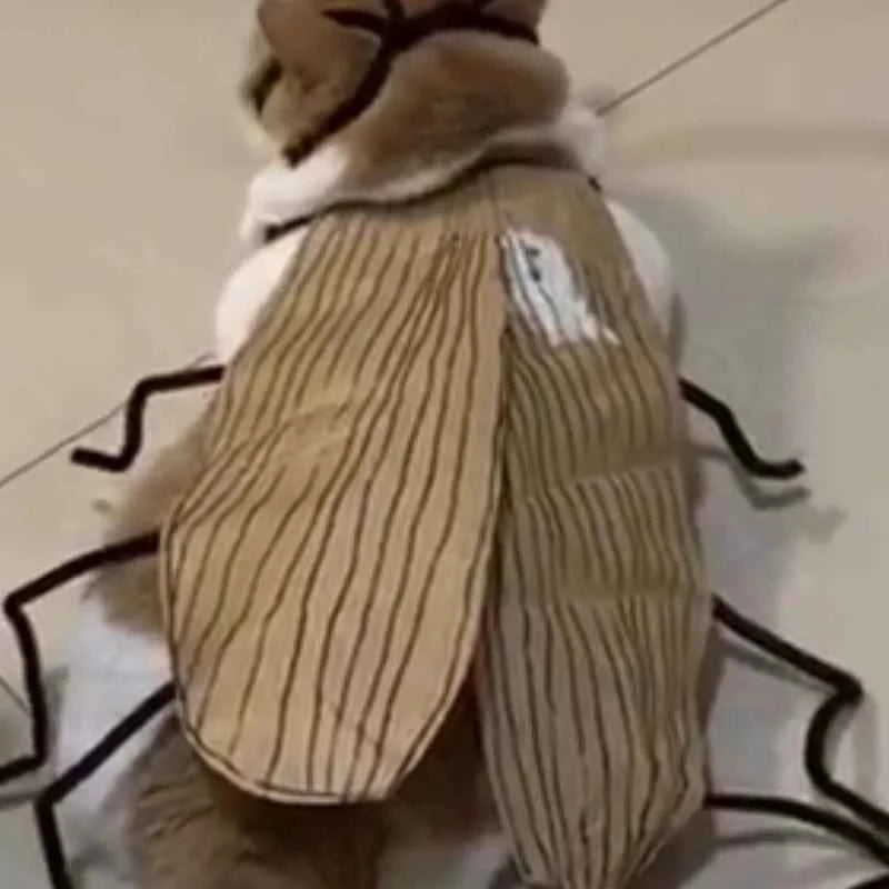 Supplies Cat Cosplay Dress Up Cockroach Costume Pet Breathable Clothing Funny Party Decor Outfit Uniform Pet