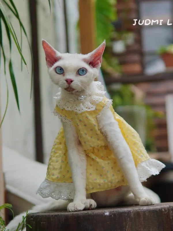 German Shorthair Cat Summer Bubble Cotton Yellow Floral Puffy Lace Heml's Dress Cats Clothes Kawaii Clothes