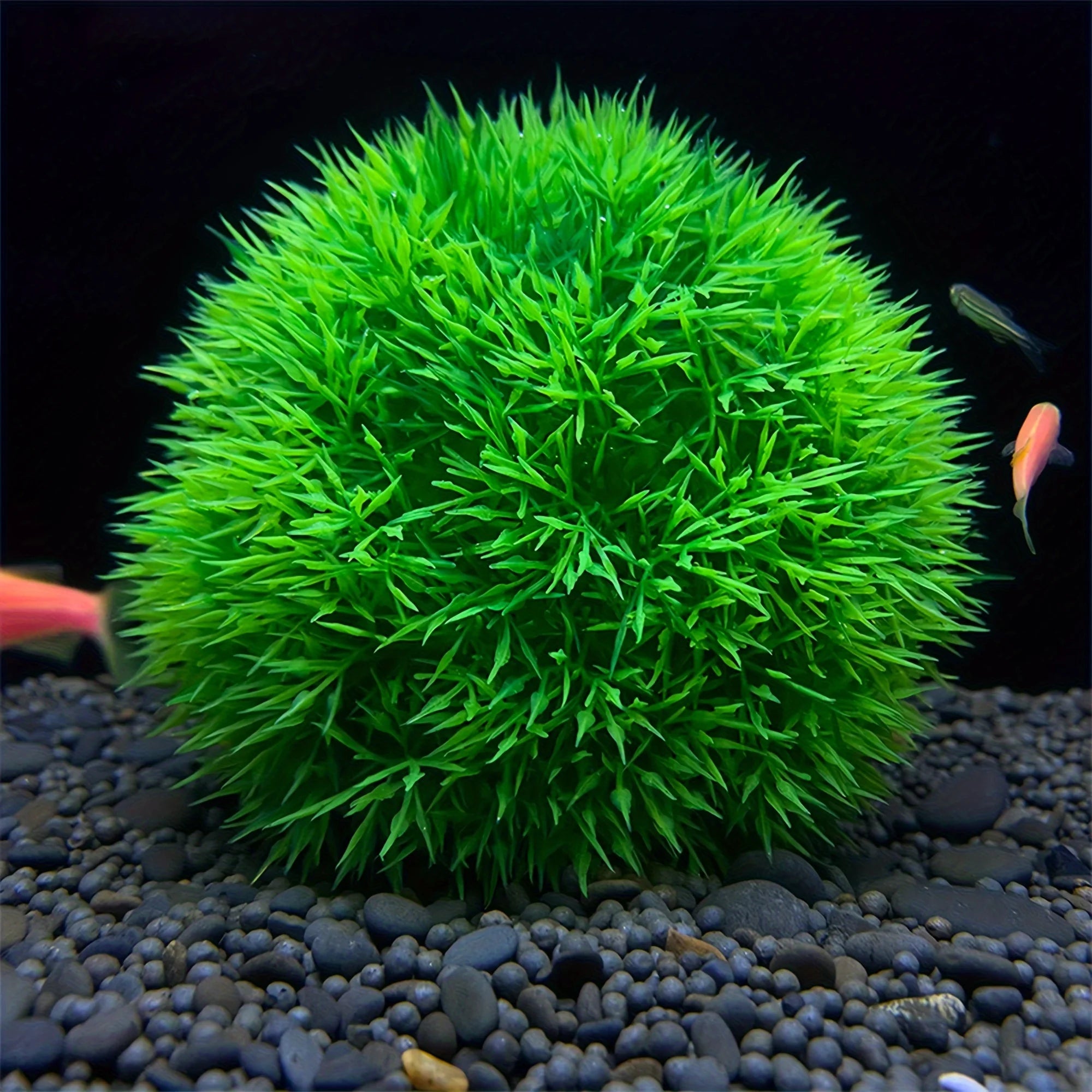 Aquarium Decorative Artificial Aquarium Grass Ball – Durable Faux Water Plant for Fish Tank Decor, Fade-Resistant