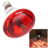 Heating Lamp Infrared Heat Bulb for Animal Brooder Box for Piglets and Chicks
