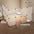 Pet Fence Kitten Isolation Door Dog Cage Kitten Guardrail Iron Small Size Dogs Teddy Indoor Kennel Home Rabbit Fence Cat Cage - Play Paws Toys