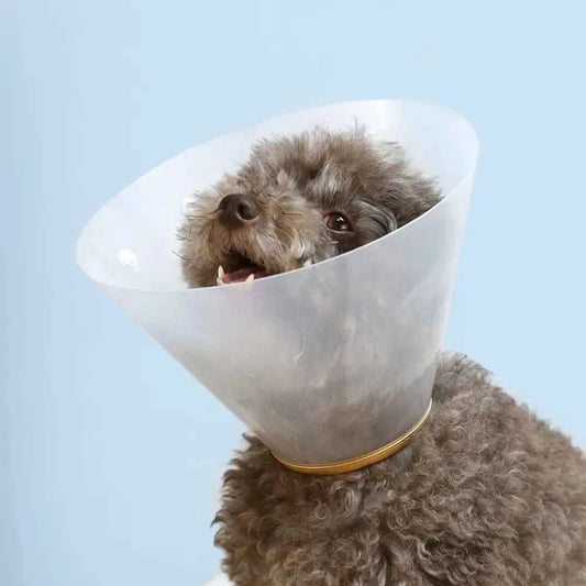 Transparent Cat Recovery Collar Adjustable Anti-licking Cat Elizabethan Collar Anti-bite Plastic Dog Neck Cone For Dog Cats
