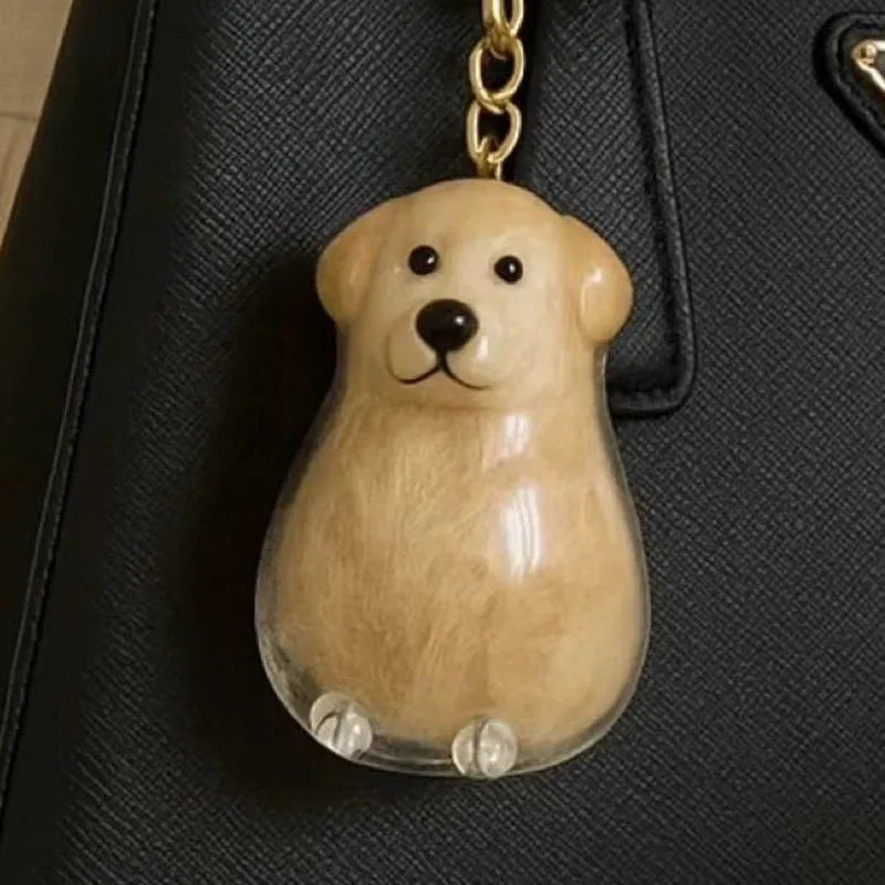 Dog Cat Hair Storage Pendant Keychain Box Couple Car Key Chains Jewelry Souvenir Pet Lover Keepsake Memorial Keychain Gift Decor
