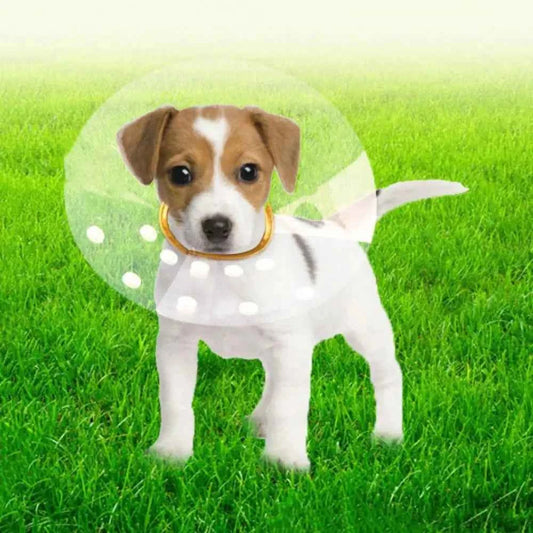 Transparent Cat Recovery Collar Adjustable Anti-licking Cat Elizabethan Collar Anti-bite Plastic Dog Neck Cone For Dog Cats
