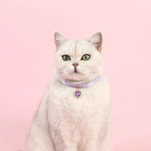 High Quality Heart Pendant Pet Collar Bowknot Durable Pet Supplies Adjustable Solid Color Cats Bow Tie Pets Accessories