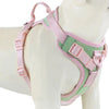 Splicing Colors Breathable For Medium No Pull Dog Harness for large Small dogs Adjustable Chest Strap Dog Harness Personalized