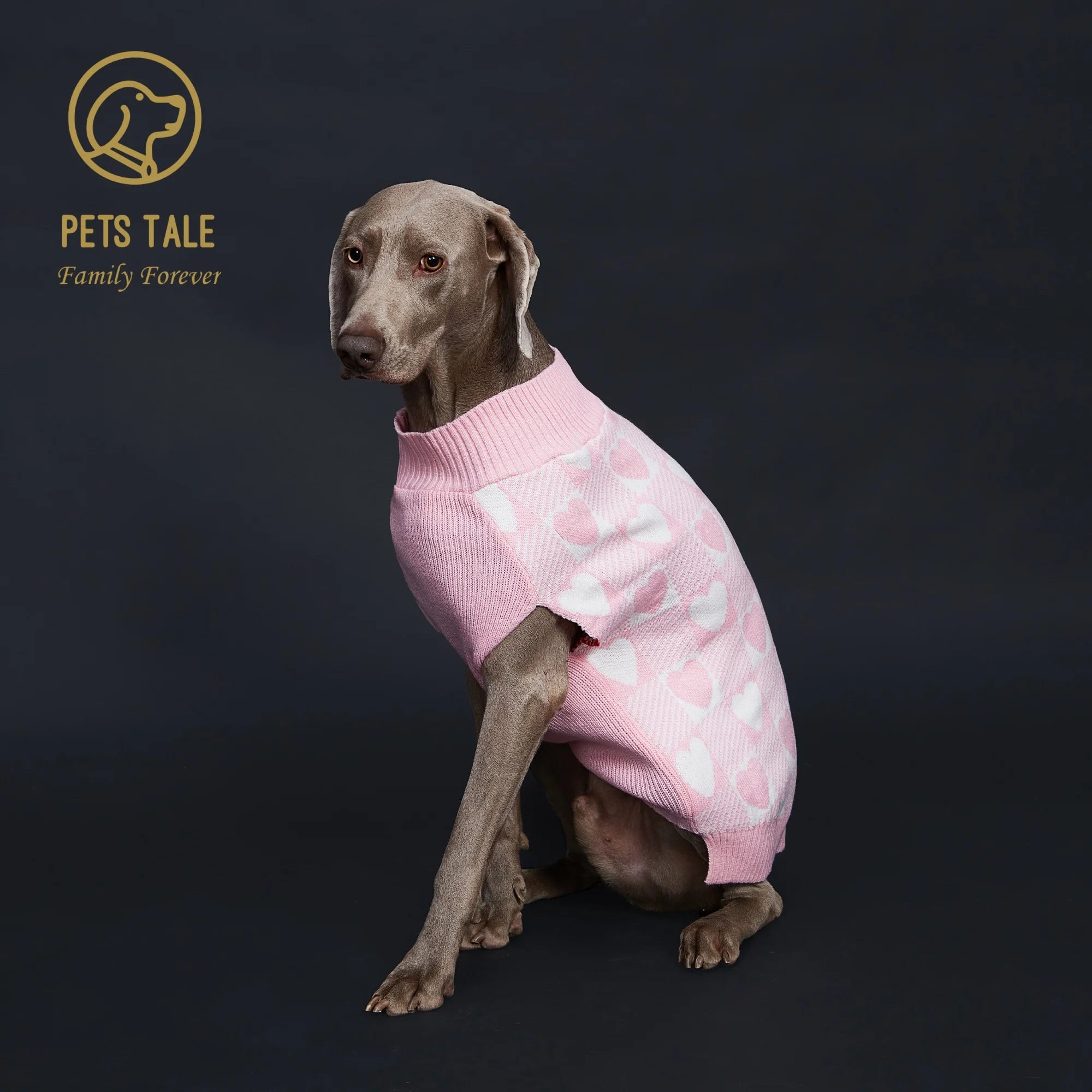 Buffalo Check Love-Heart Intarsia D-Ring Hole Dog Sweater