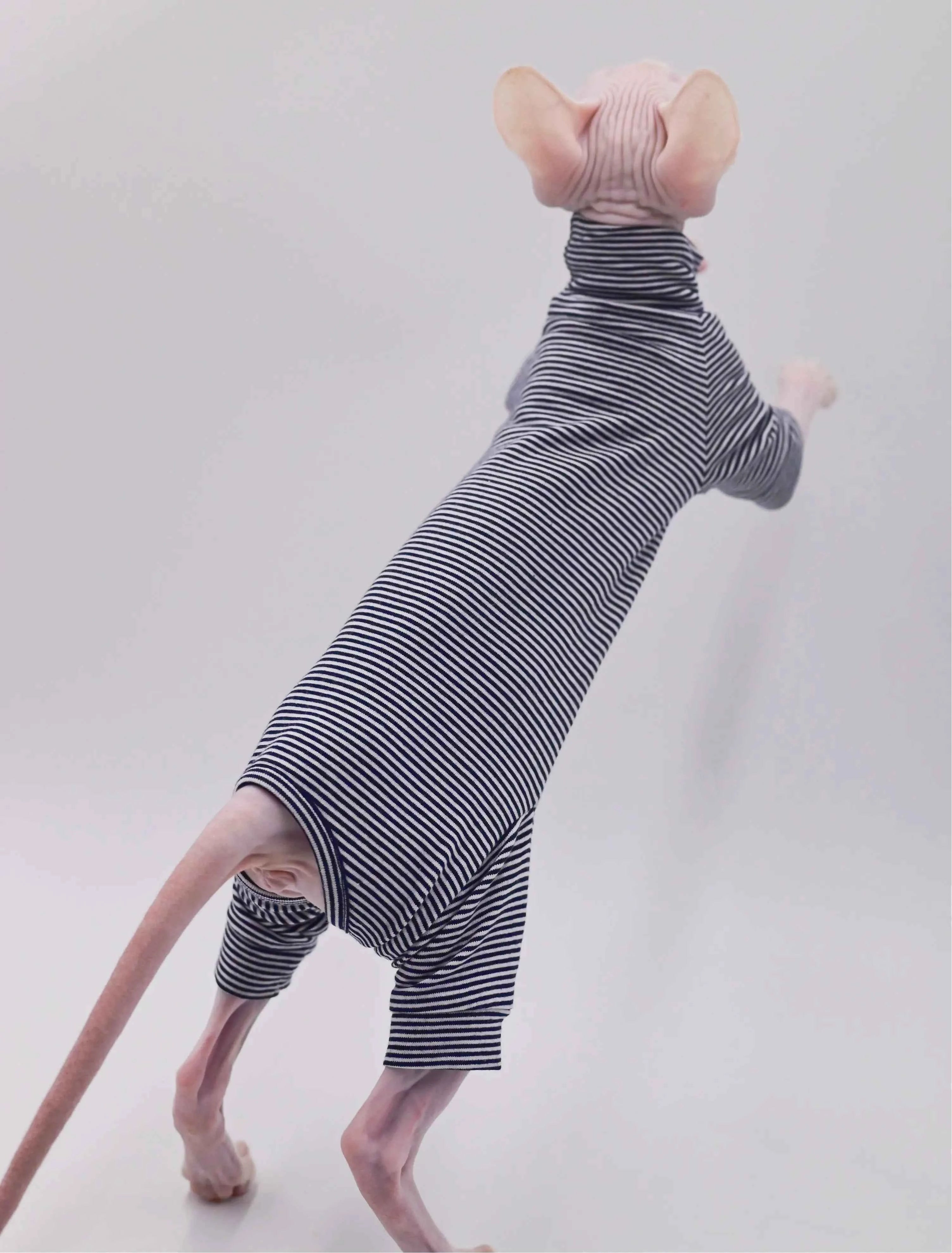 Sphynx Cat Clothes Four-legged Soft and Durable Hairless Cat Clothes for Devon Rex Cats, Cornish, and Small Cats