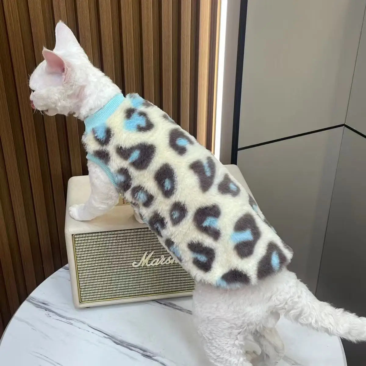 Derby cat hairless cat winter warmth plush fur two-legged suit suitable for small to medium-sized cat base layers machine washab - Play Paws Toys