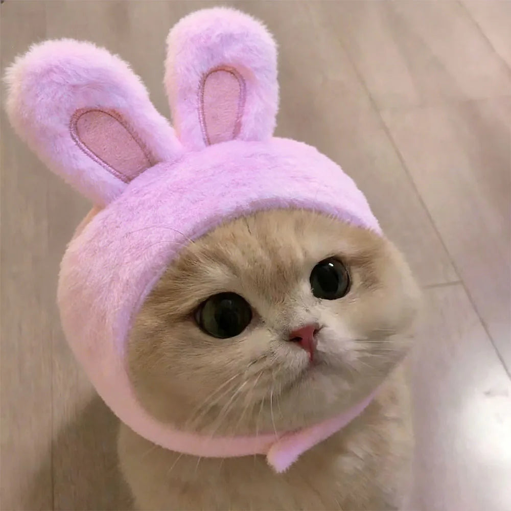 Funny Pet Headband Plush Yarn Panda Pig Chick Cat Dog Warm Cosplay Costume Headdress for Cats Dogs Pets Supplies Accessories