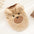 Pet Clothes Winter Warm Coats Vest Soft Fleece For Small Dogs Cats Girl Boys Chihuahua Yorkies Cute Transformation Outfit Xxs-XL - Play Paws Toys