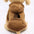 Autumn and winter sweater cowboy pocket two-legged clothes sports wind pet clothes dog cat pet clothes supplies