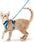 Cat Harness and Leash for Walking, Escape Proof Soft Adjustable Vest Harnesses for Cats, EasyControl