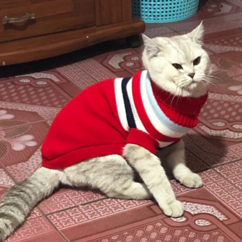Cute Sphynx Cat Sweater Pullover Winter Warm Pet Clothes for Cats Kedi Kitten Costume Puppy Clothing Mascotas ropa para gatos - Play Paws Toys