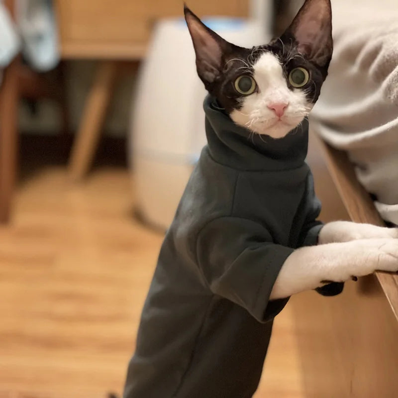 Sphynx Cat Clothes Baby Soft Cotton Fall Winter Kitten Small Dog Clothes for Cornish Devon Cat Costume Hairless Pet Clothes - Play Paws Toys