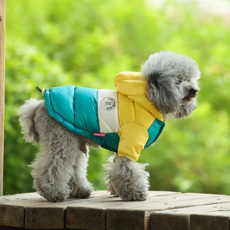 Dog Jacket Waterproof Luxury Dog Clothes Pet Down Cotton Vest Chihuahua French Bulldog Winter Dog Coat Puppy Warm Dog Costume