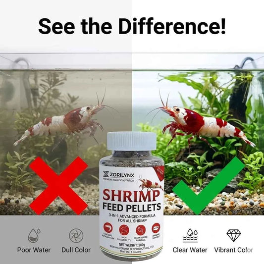 Nutritious Shrimp Feed Sinking Pellets High Protein Calcium Rich Food for Crystal Red Cherry Shrimp Aquarium Tank ZORILYNX