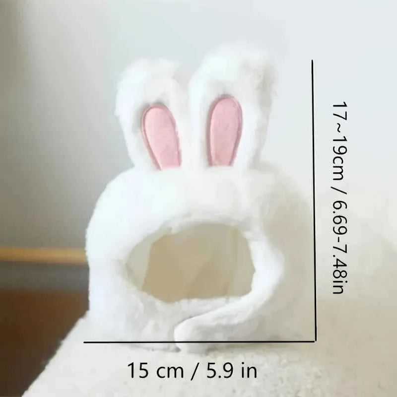 1 rabbit ear cat hat, suitable for cat and dog role-playing and photography, suitable for toys and cat set photos.
