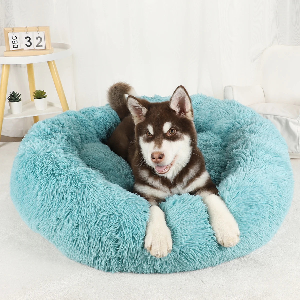 Dog Bed Donut Big Large Round Basket Winter Plush Beds for Dogs Medium Accessories Fluffy Kennel Small Puppy Pets Cat Products