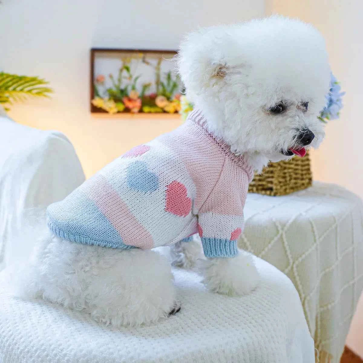 1PC Pet Clothing Spring and Autumn Dog Hoodie Elastic Blue Pink Love Jacquard Sweater Suitable for Small and Medium sized Dogs