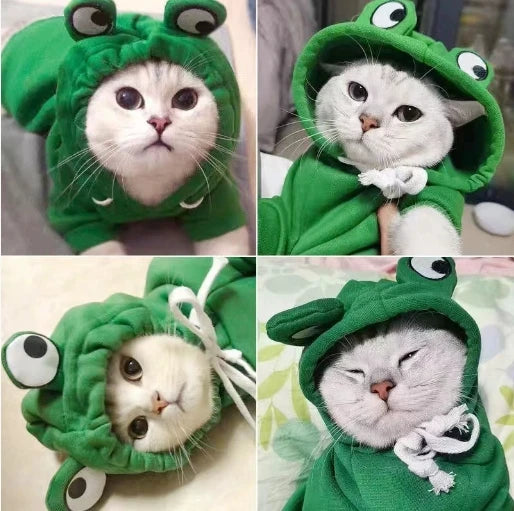 1PC  Cute Frog Design Dog/Cat Hoodie - Winter Warm Pet Hoodie with Velvet - Play Paws Toys