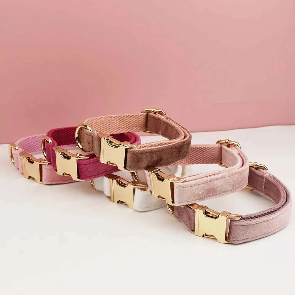 Velvet Collar Free Engrave Dog Collar Leash For Medium Big Pet Necklace Dog Accessories Dog Collars