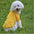 Fashion Dog Clothes for Teddy Small Dogs, Spring Summer Autumn Vest T-shirt Polo Shirt  Cute Dog Clothes for Small Breeds, Cotto