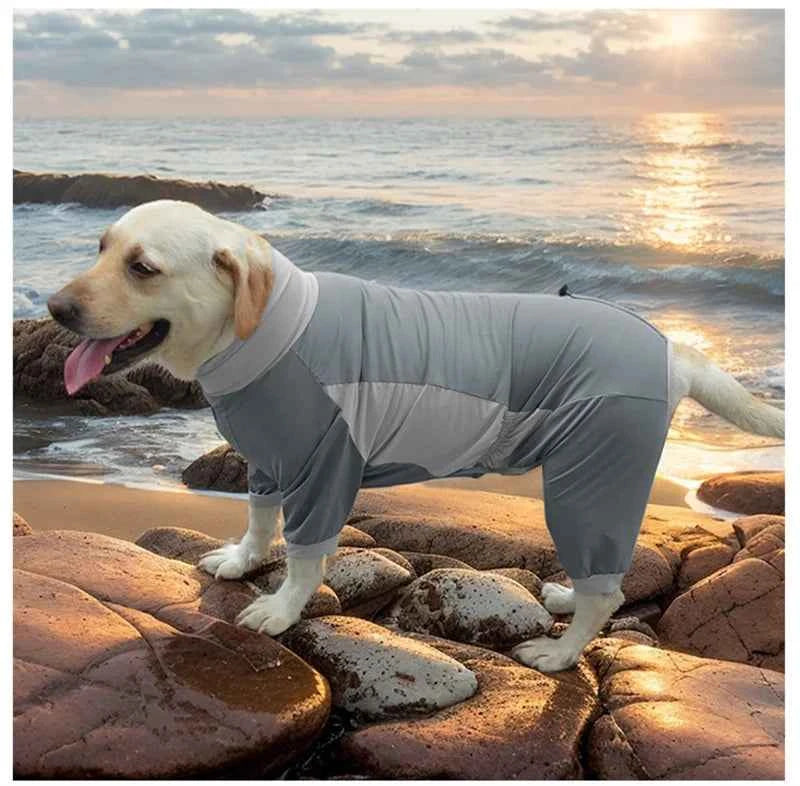 Summer Dog Clothes Jumpsuit Border Collie Labrador Samoyed Golden Retriever Husky Bichon Schnauzer Poodle Corgi Dog Clothing