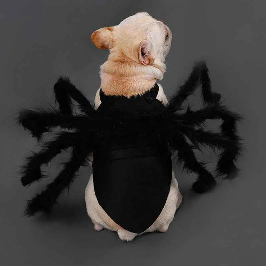 NONOR Halloween Dog Cat Clothes Pet Cosplay Funny Spider Costume Halloween Party Costumes for Small Medium Dog Cat Costumes