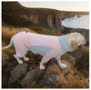 Summer Dog Clothes Jumpsuit Border Collie Labrador Samoyed Golden Retriever Husky Bichon Schnauzer Poodle Corgi Dog Clothing