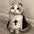 Christmas Pet Dog Cat Cosplay Costume Breathable Pet Accessories Puppy Kitten Nun Clothes Dress Up Halloween Jumpsuit Coat