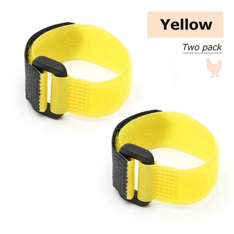 2Pcs No Crow Rooster Collar Chicken Collar Noise Free Anti-Hook Neckband Poultry Collars Supplies