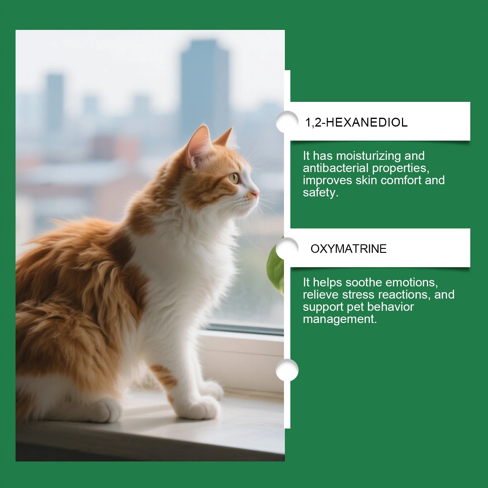 Yegbong Cat Deterrent Spray for Furniture Protection Against Scratching Couch Carpet Plants Pet Safe Training Aid for Cats 100ml