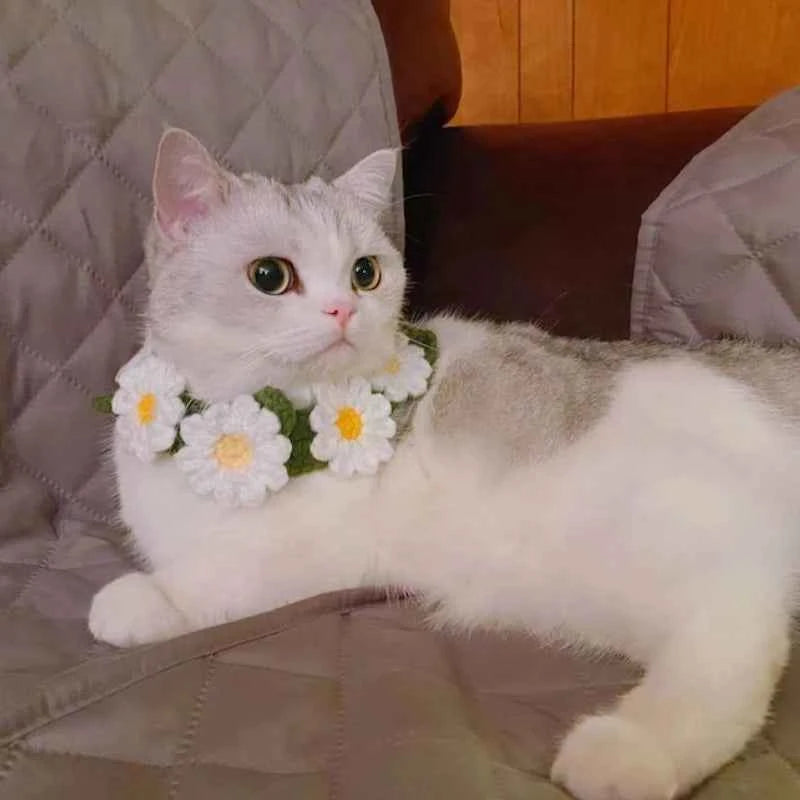 Hand-knitted Pet Necklace Cat Decoration Cute Daisy Flower Necklace Dog Accessories Suitable for Pet Photo Taking