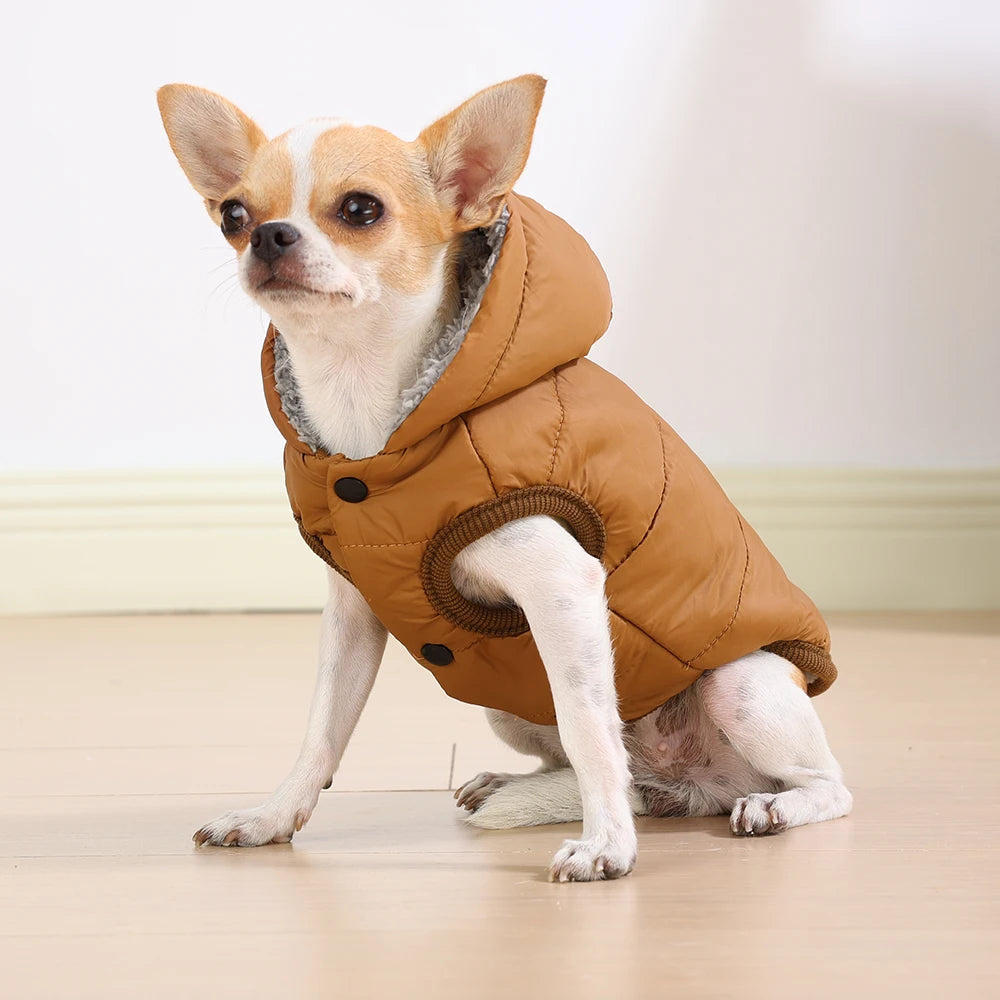 Warm Cats Hoodie Coat For Small Medium Cats Dog Winter Cozy Fleece Puppy Kitten Jacket Clothes Windproof Pet Pug Sphynx Costume - Play Paws Toys