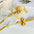 Cute Bowknot Pet Harness Leash Princess Cat Dress Costumes Nylon Kittten Dress Puppy Harness For Rabbit Teddy Cats Clothes