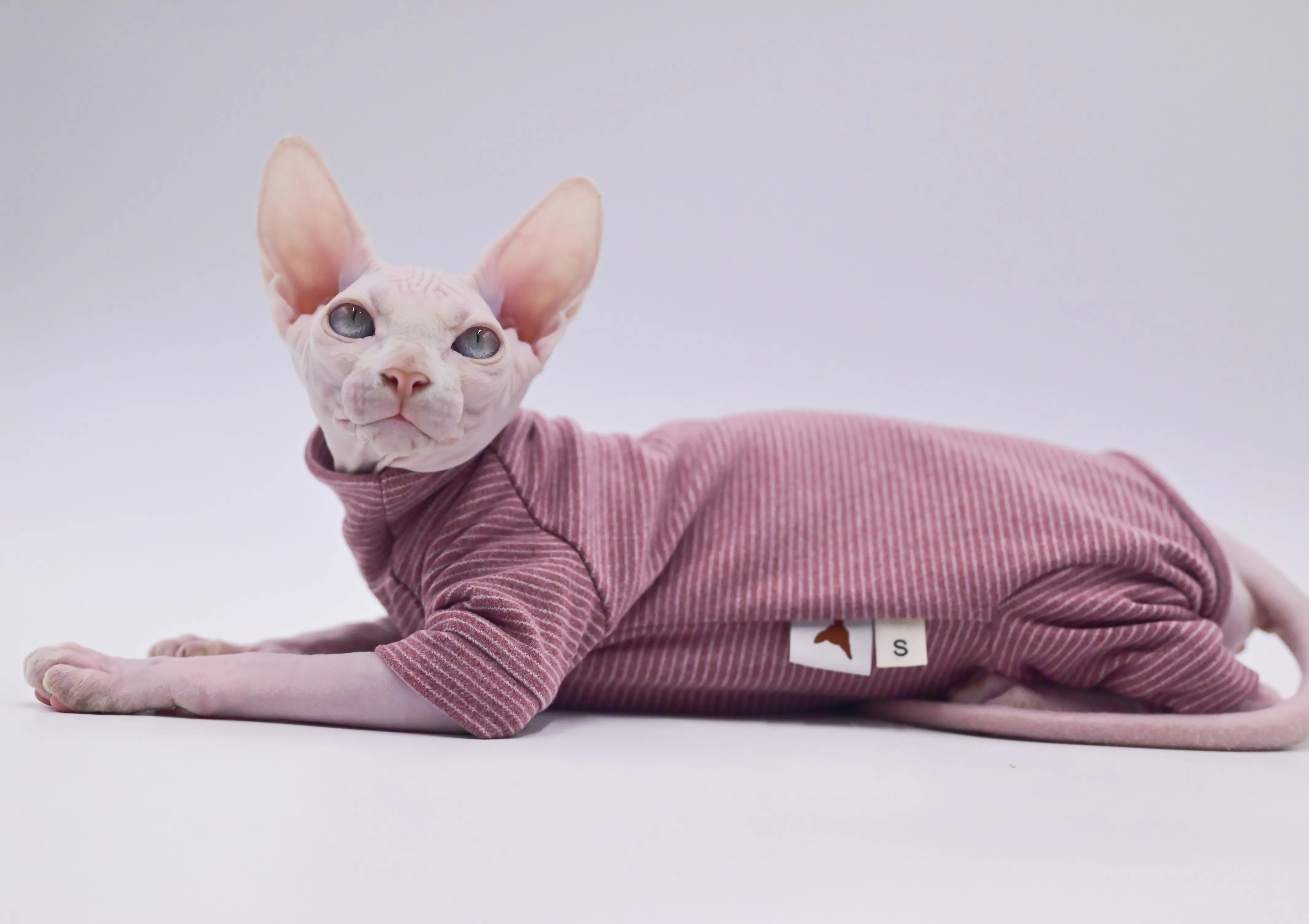 Hairless Cat Clothes Warm and Soft Four-Legged Hoodie for Sphynx Cats for Autumn and Winter for Devon Rex, Cornish - Play Paws Toys