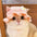 Cat Hat, Cute Flower Crochet Cat Hat Knitted Costume Headwear for Kitten Dog Puppy Pet Small Knit Cap Clothes Decoration