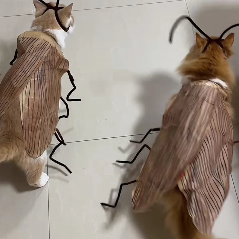 Supplies Cat Cosplay Dress Up Cockroach Costume Pet Breathable Clothing Funny Party Decor Outfit Uniform Pet