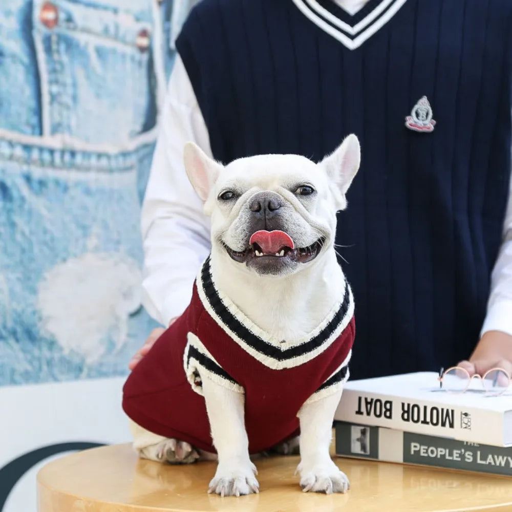 Autumn Winter Pet Cat Dog Sweater Warm Coat For Small Medium Large Dogs Kitten Pullover Puppy Vest Warm Pet Clothes Cat Costume - Play Paws Toys