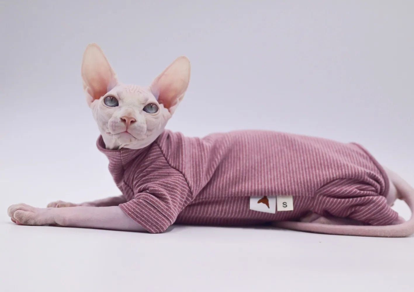 Hairless Cat Clothes Warm and Soft Four-Legged Hoodie for Sphynx Cats for Autumn and Winter for Devon Rex, Cornish - Play Paws Toys