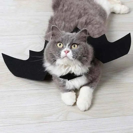 Creative Cute Pet Clothes Black Bat Wings Carrier Costume Cosplay Cat and Dog Party Pet Supplies Cosplay