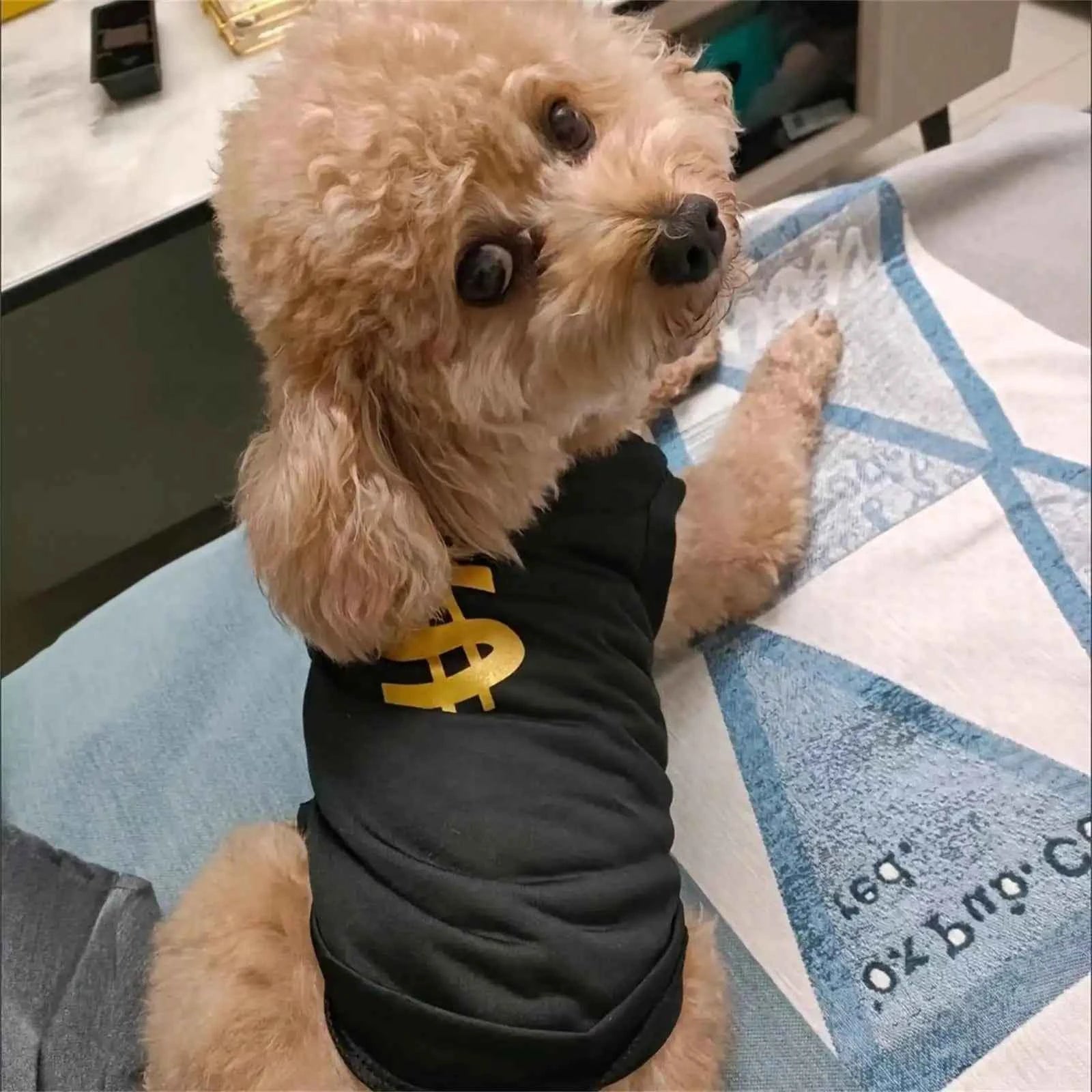 Pet Dogs Summer T Shirt Breathable Mesh Vest Apparel Sleeveless Hip Hop For Small Medium Dogs Costume