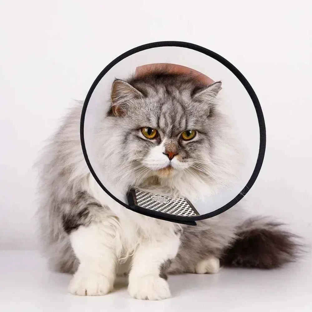Dog Cat Pet Elizabethan Collar for Dogs Comfy Cones To Stop Licking Protective Collar for Dog After Surgery Anti-Bite Lick